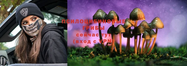 прущие крисы Аркадак