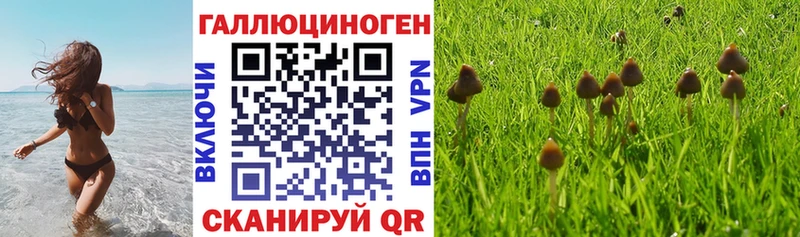 купить закладку Балашов Галлюциногенные грибы мицелий